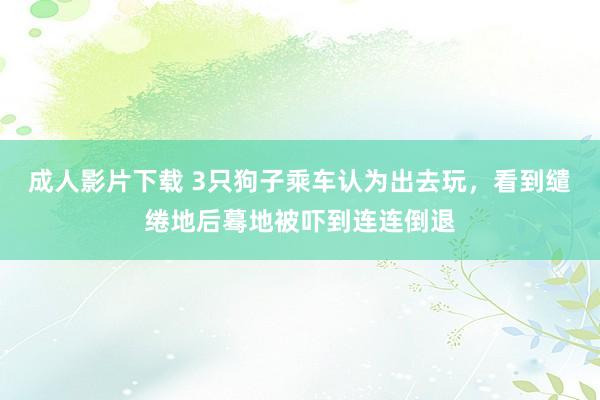 成人影片下载 3只狗子乘车认为出去玩，看到缱绻地后蓦地被吓到连连倒退