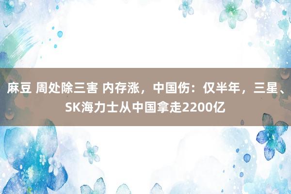 麻豆 周处除三害 内存涨，中国伤：仅半年，三星、SK海力士从中国拿走2200亿