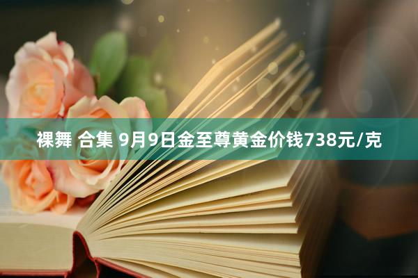 裸舞 合集 9月9日金至尊黄金价钱738元/克