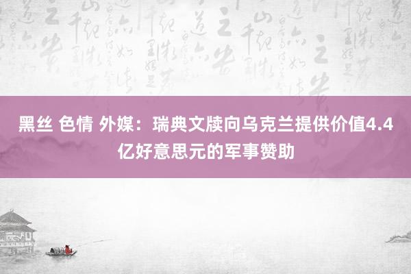 黑丝 色情 外媒：瑞典文牍向乌克兰提供价值4.4亿好意思元的军事赞助