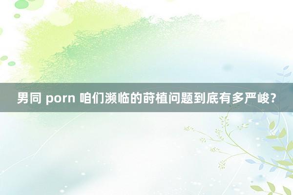 男同 porn 咱们濒临的莳植问题到底有多严峻？