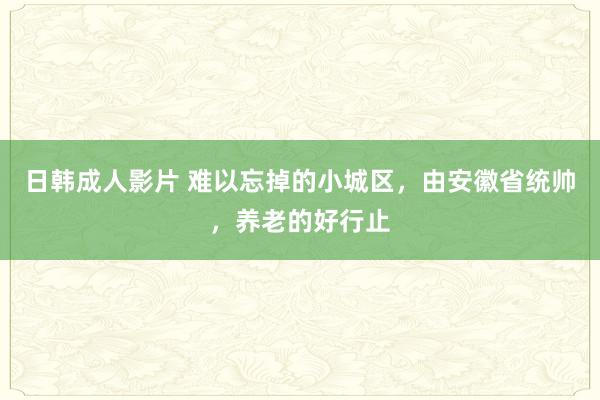 日韩成人影片 难以忘掉的小城区，由安徽省统帅，养老的好行止