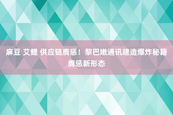 麻豆 艾鲤 供应链膺惩！黎巴嫩通讯建造爆炸秘籍膺惩新形态