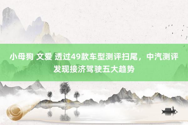 小母狗 文爱 透过49款车型测评扫尾，中汽测评发现接济驾驶五大趋势