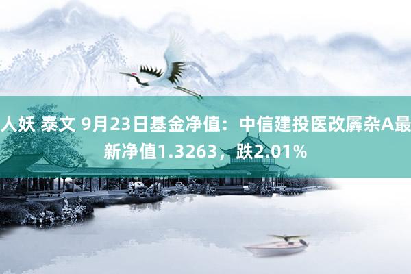 人妖 泰文 9月23日基金净值：中信建投医改羼杂A最新净值1.3263，跌2.01%