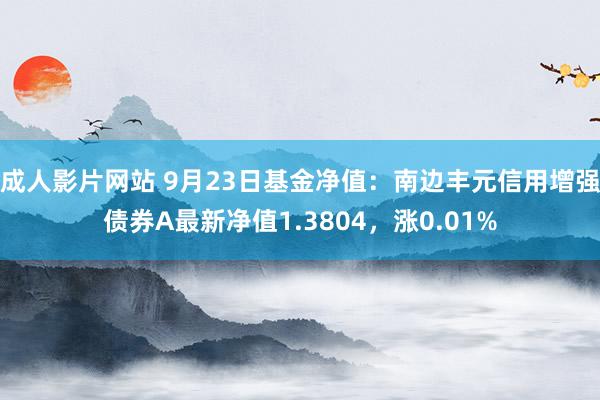 成人影片网站 9月23日基金净值：南边丰元信用增强债券A最新净值1.3804，涨0.01%