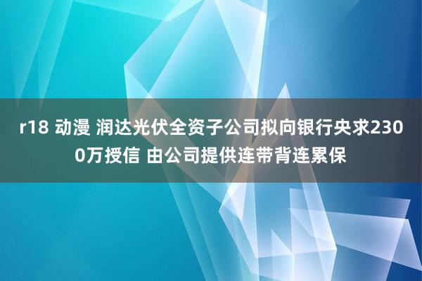 r18 动漫 润达光伏全资子公司拟向银行央求2300万授信 由公司提供连带背连累保