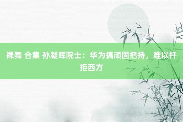 裸舞 合集 孙凝晖院士：华为搞顽固把持，难以扞拒西方