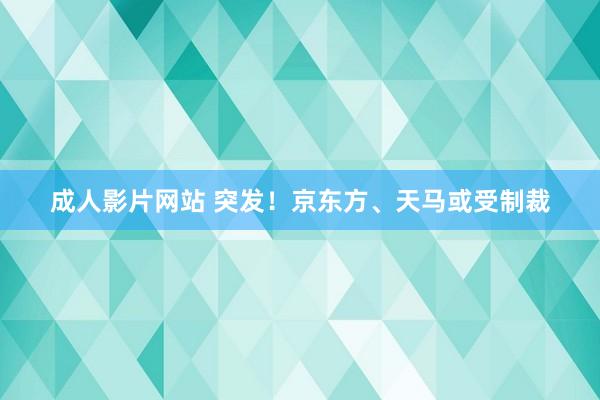 成人影片网站 突发！京东方、天马或受制裁