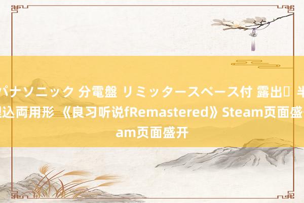 パナソニック 分電盤 リミッタースペース付 露出・半埋込両用形 《良习听说fRemastered》Steam页面盛开