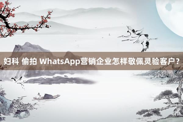 妇科 偷拍 WhatsApp营销企业怎样敬佩灵验客户？