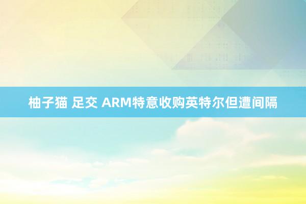 柚子猫 足交 ARM特意收购英特尔但遭间隔