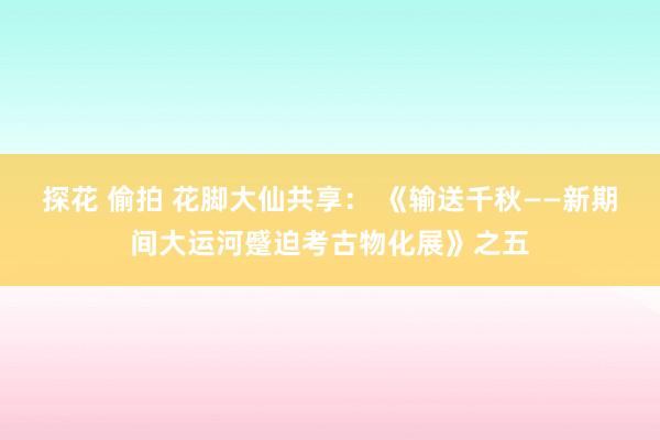 探花 偷拍 花脚大仙共享： 《输送千秋——新期间大运河蹙迫考古物化展》之五