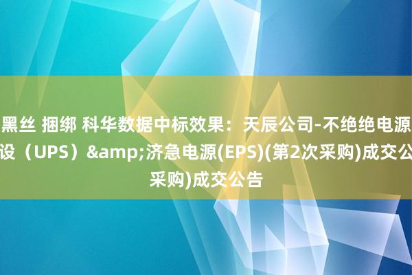 黑丝 捆绑 科华数据中标效果：天辰公司-不绝绝电源安设（UPS）&济急电源(EPS)(第2次采购)成交公告