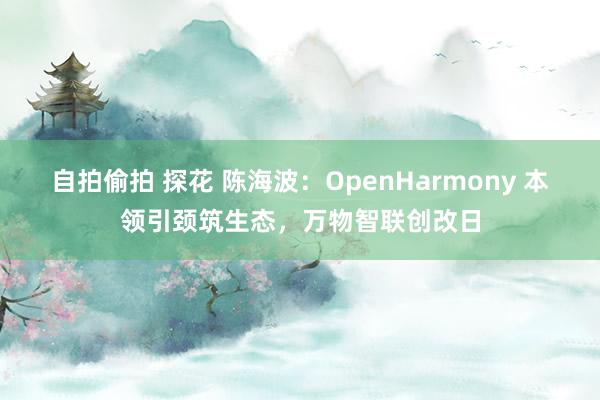 自拍偷拍 探花 陈海波：OpenHarmony 本领引颈筑生态，万物智联创改日