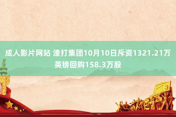 成人影片网站 渣打集团10月10日斥资1321.21万英镑回购158.3万股