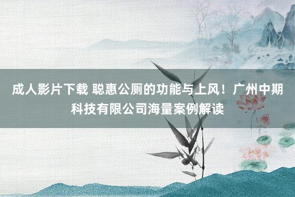 成人影片下载 聪惠公厕的功能与上风！广州中期科技有限公司海量案例解读