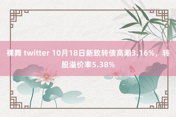 裸舞 twitter 10月18日新致转债高潮3.16%，转股溢价率5.38%