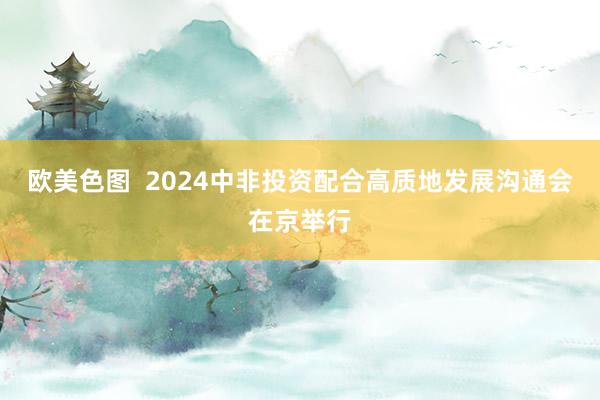 欧美色图  2024中非投资配合高质地发展沟通会在京举行