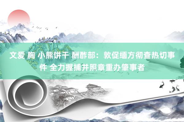 文爱 胸 小熊饼干 酬酢部：敦促缅方彻查热切事件 全力握捕并照章重办肇事者