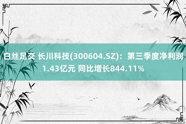 白丝足交 长川科技(300604.SZ)：第三季度净利润1.43亿元 同比增长844.11%