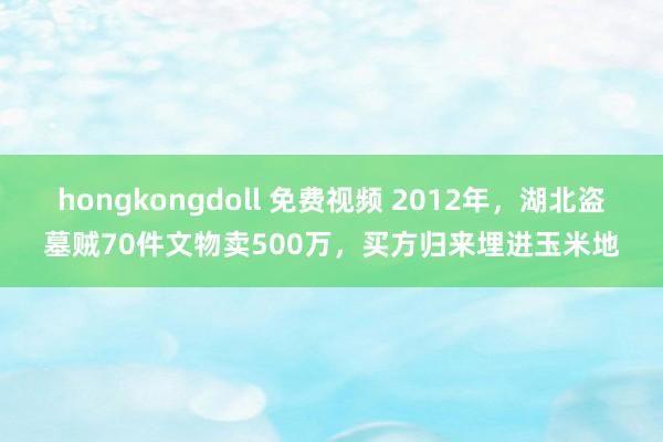 hongkongdoll 免费视频 2012年，湖北盗墓贼70件文物卖500万，买方归来埋进玉米地