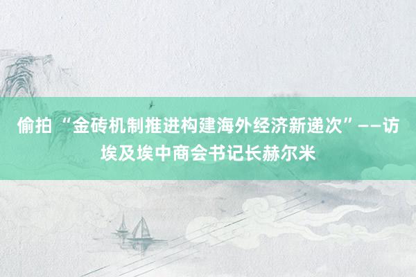 偷拍 “金砖机制推进构建海外经济新递次”——访埃及埃中商会书记长赫尔米