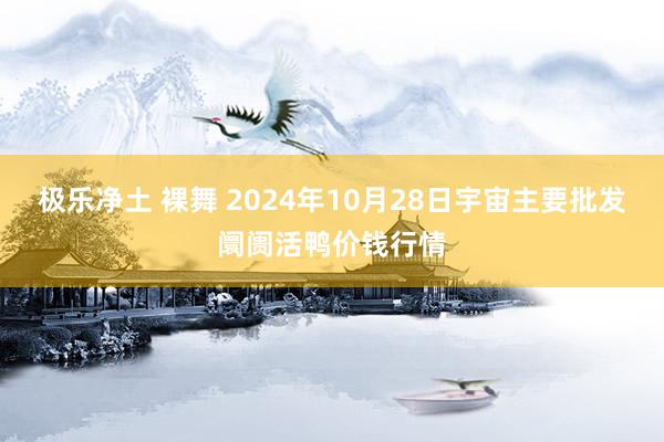 极乐净土 裸舞 2024年10月28日宇宙主要批发阛阓活鸭价钱行情