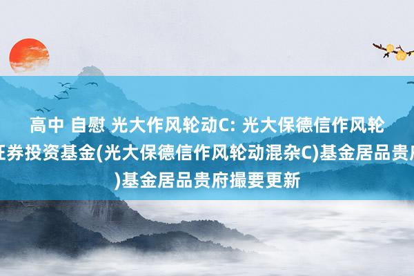 高中 自慰 光大作风轮动C: 光大保德信作风轮动混杂型证券投资基金(光大保德信作风轮动混杂C)基金居品贵府撮要更新