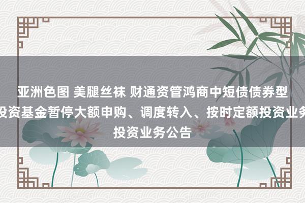 亚洲色图 美腿丝袜 财通资管鸿商中短债债券型证券投资基金暂停大额申购、调度转入、按时定额投资业务公告