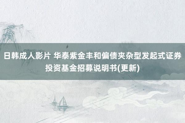 日韩成人影片 华泰紫金丰和偏债夹杂型发起式证券投资基金招募说明书(更新)