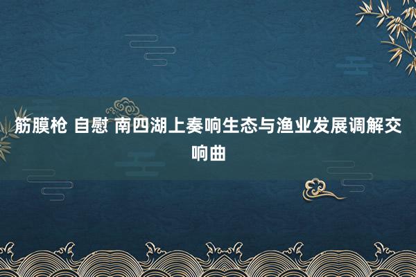 筋膜枪 自慰 南四湖上奏响生态与渔业发展调解交响曲