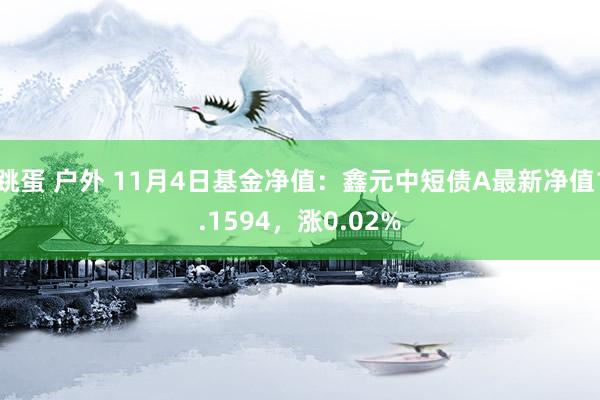 跳蛋 户外 11月4日基金净值：鑫元中短债A最新净值1.1594，涨0.02%