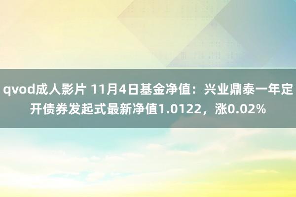 qvod成人影片 11月4日基金净值：兴业鼎泰一年定开债券发起式最新净值1.0122，涨0.02%