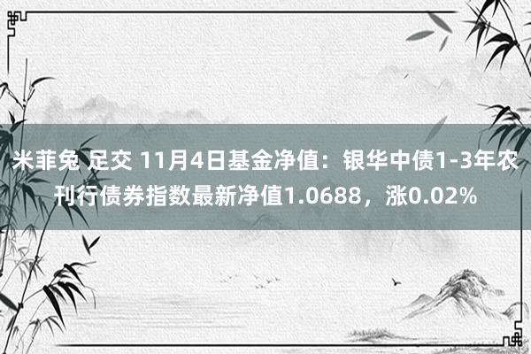 米菲兔 足交 11月4日基金净值：银华中债1-3年农刊行债券指数最新净值1.0688，涨0.02%