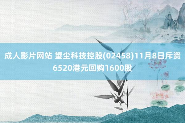 成人影片网站 望尘科技控股(02458)11月8日斥资6520港元回购1600股