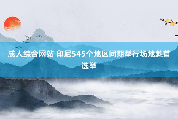 成人综合网站 印尼545个地区同期举行场地魁首选举