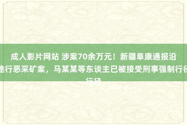 成人影片网站 涉案70余万元！新疆阜康通报沿途行恶采矿案，马某某等东谈主已被接受刑事强制行径