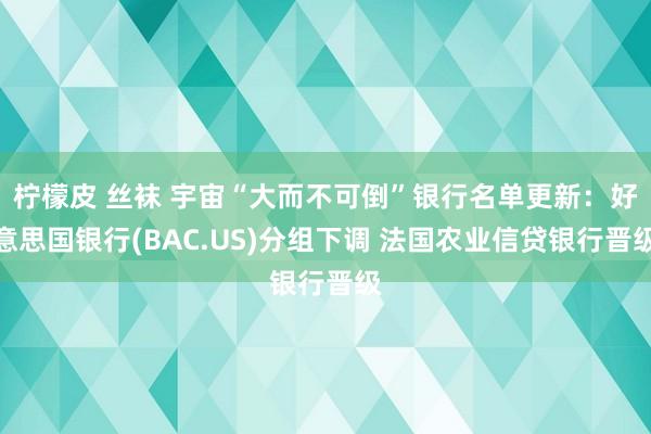 柠檬皮 丝袜 宇宙“大而不可倒”银行名单更新：好意思国银行(BAC.US)分组下调 法国农业信贷银行晋级