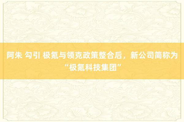 阿朱 勾引 极氪与领克政策整合后，新公司简称为“极氪科技集团”