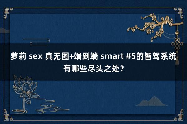 萝莉 sex 真无图+端到端 smart #5的智驾系统有哪些尽头之处？