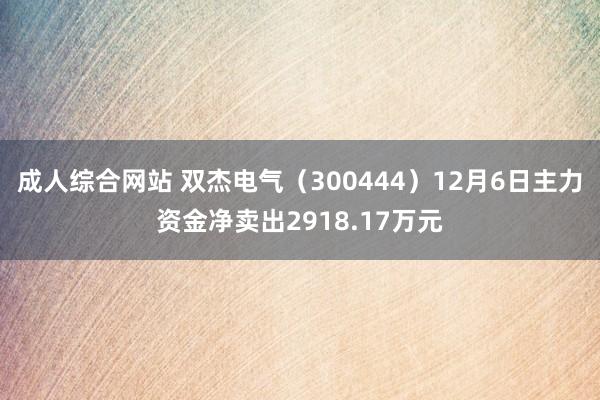 成人综合网站 双杰电气（300444）12月6日主力资金净卖出2918.17万元