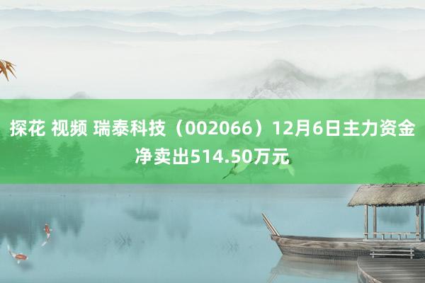 探花 视频 瑞泰科技（002066）12月6日主力资金净卖出514.50万元