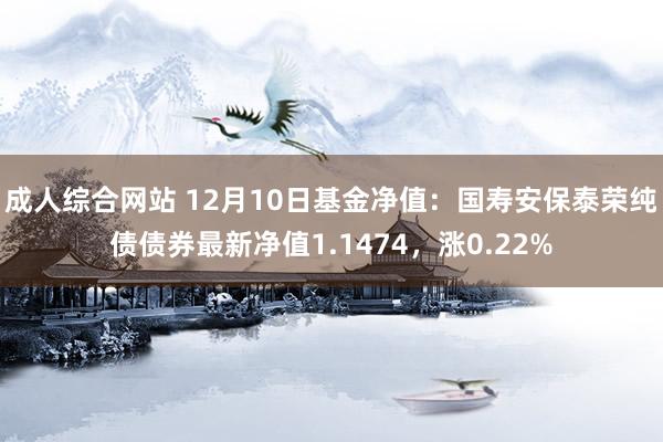 成人综合网站 12月10日基金净值：国寿安保泰荣纯债债券最新净值1.1474，涨0.22%