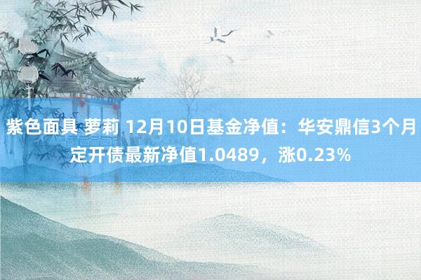 紫色面具 萝莉 12月10日基金净值：华安鼎信3个月定开债最新净值1.0489，涨0.23%