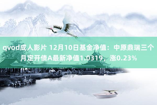 qvod成人影片 12月10日基金净值：中原鼎瑞三个月定开债A最新净值1.0319，涨0.23%