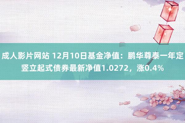 成人影片网站 12月10日基金净值：鹏华尊泰一年定竖立起式债券最新净值1.0272，涨0.4%