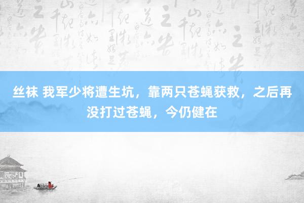 丝袜 我军少将遭生坑，靠两只苍蝇获救，之后再没打过苍蝇，今仍健在