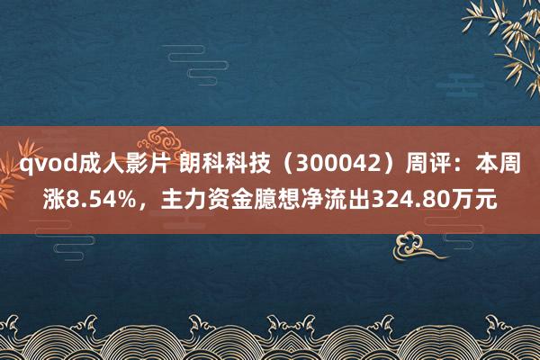 qvod成人影片 朗科科技（300042）周评：本周涨8.54%，主力资金臆想净流出324.80万元