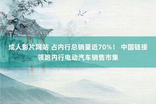 成人影片网站 占内行总销量近70%！ 中国链接领跑内行电动汽车销售市集